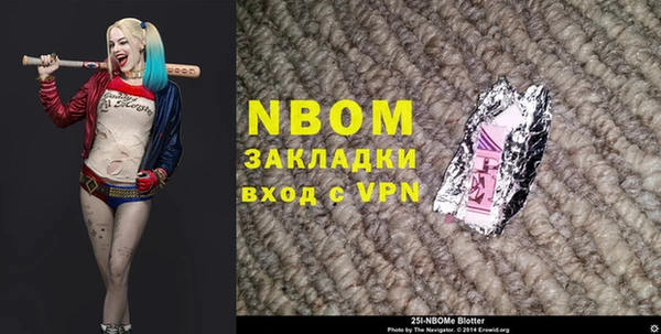 PSILOCYBIN Алзамай
