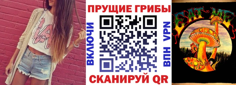 Галлюциногенные грибы MAGIC MUSHROOMS  Трубчевск 